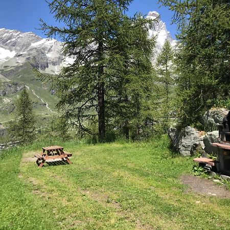 Cozy Studio Apartment Breuil-Cervinia Dış mekan fotoğraf